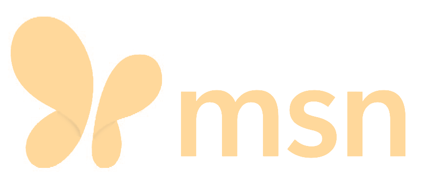 MSN News Logo